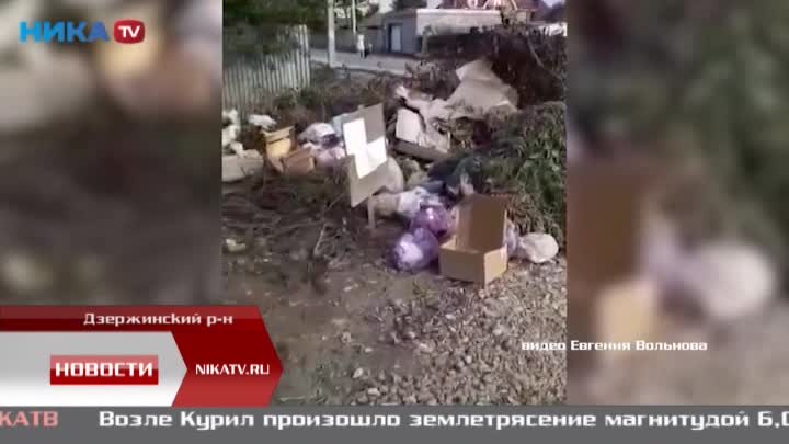 Жители Кондрова борются с нашествием крыс