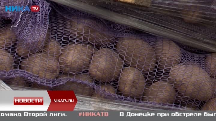 Из Калуги бойцам в Белгородскую область отправили 20 тонн картошки