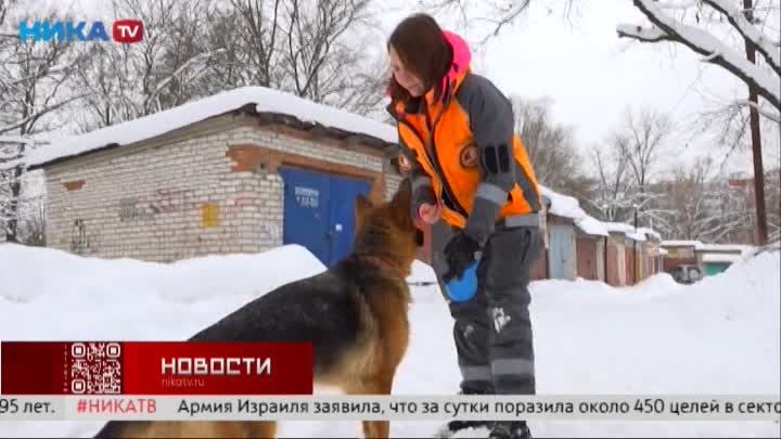 В Калужской области собака спасла пропавшую бабушку